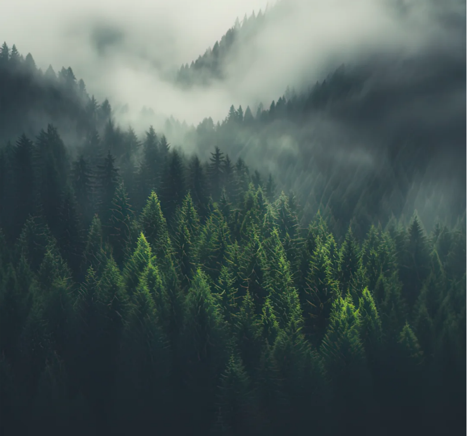 新品上市｜鯨MAX系列900x1800mm——感受自然韻律，營造沉浸式松弛空間