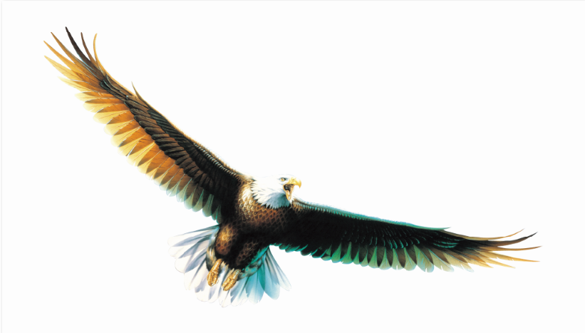 投票啦！誠邀您為鷹牌陶瓷新總部展廳設(shè)計方案投一票(圖2)