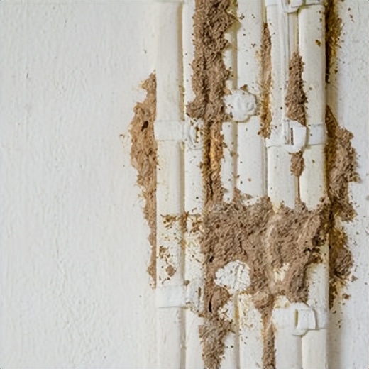 對抗回南天，家居防潮攻略｜鷹牌墻板硬核防護(hù)家居空間(圖5)