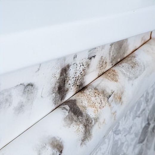 對抗回南天，家居防潮攻略｜鷹牌墻板硬核防護(hù)家居空間(圖6)