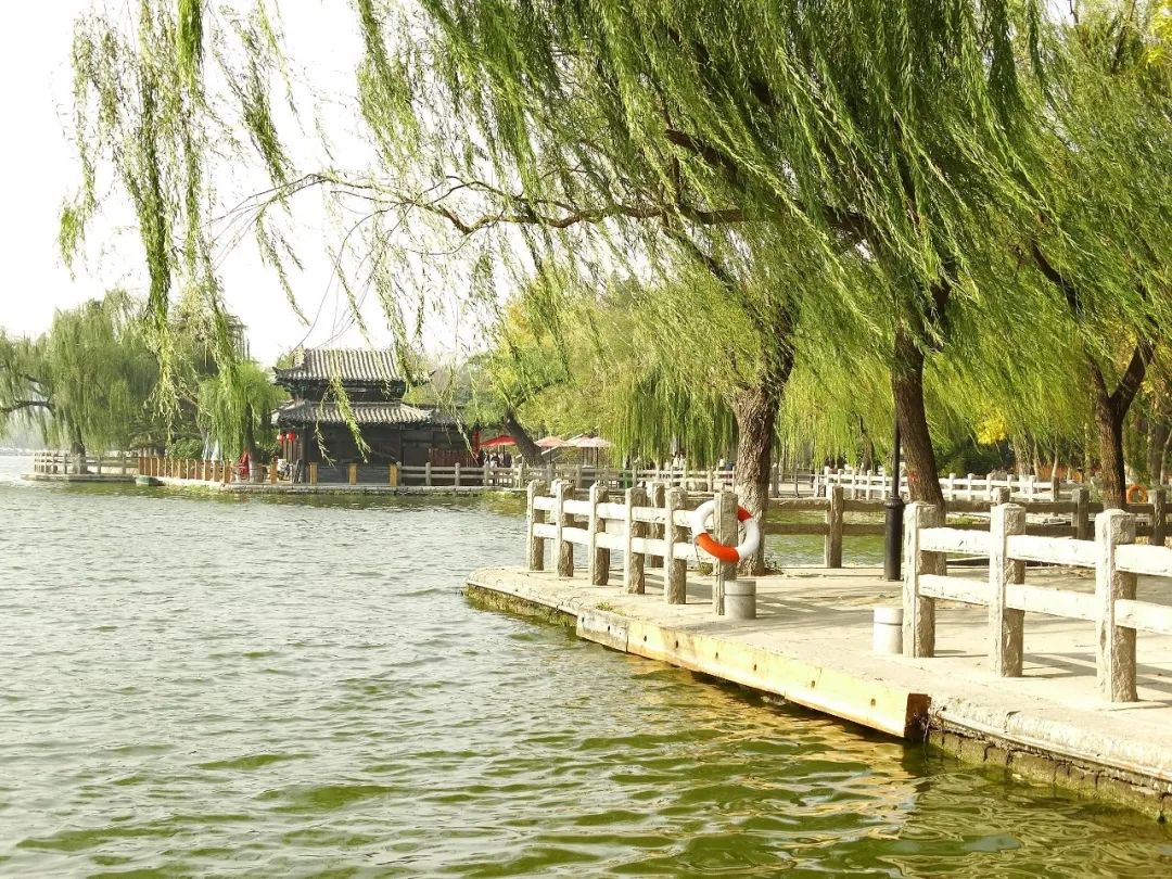 逆境崛起，華北分公司“游學之旅”圓滿落幕！(圖16)