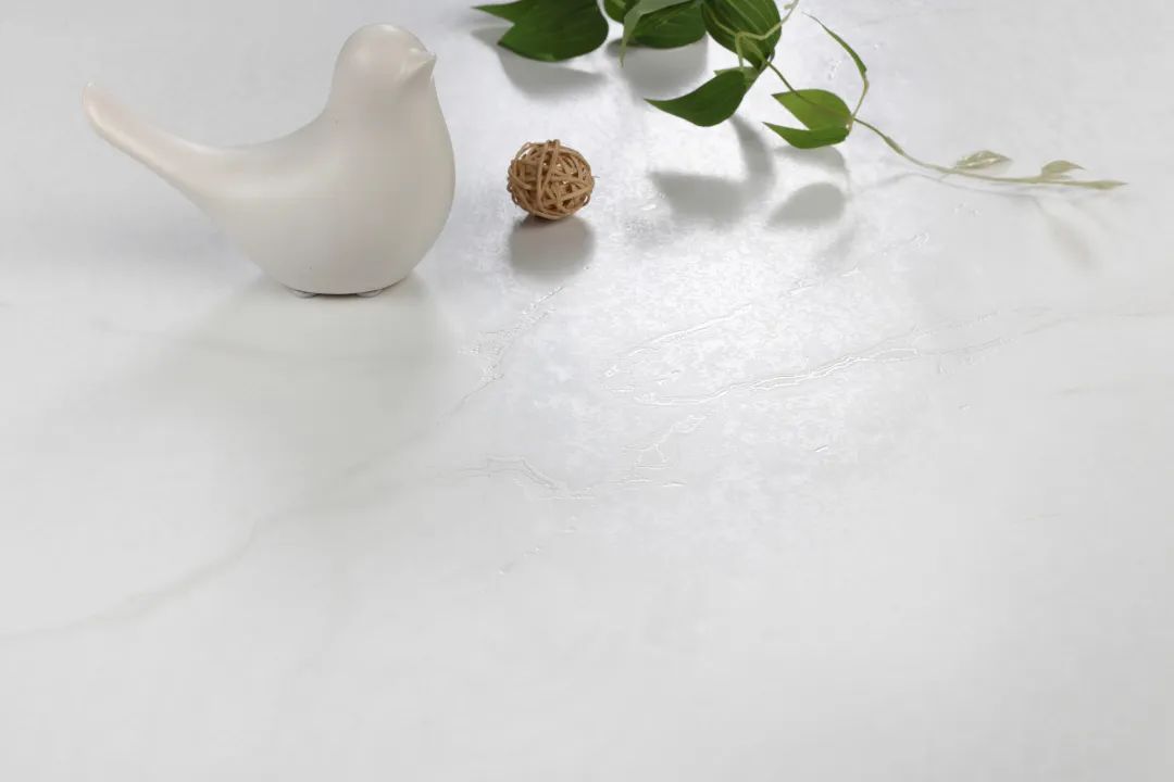 正宗廣東磚 | 鷹牌陶瓷上榜首批“佛山陶瓷”集體商標品牌！(圖13)