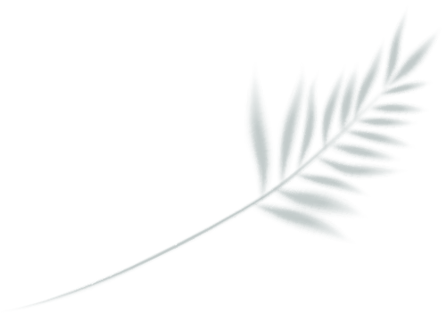 新品上市｜森林木歌系列——逐木而居，打造心靈寧靜棲息之所(圖5)